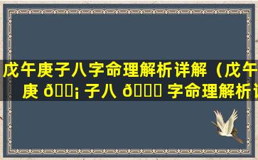戊午庚子八字命理解析详解（戊午庚 🐡 子八 🐛 字命理解析详解大全）